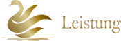 Leistung